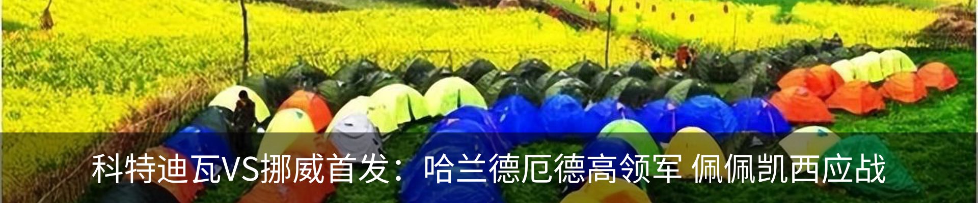 资讯动态