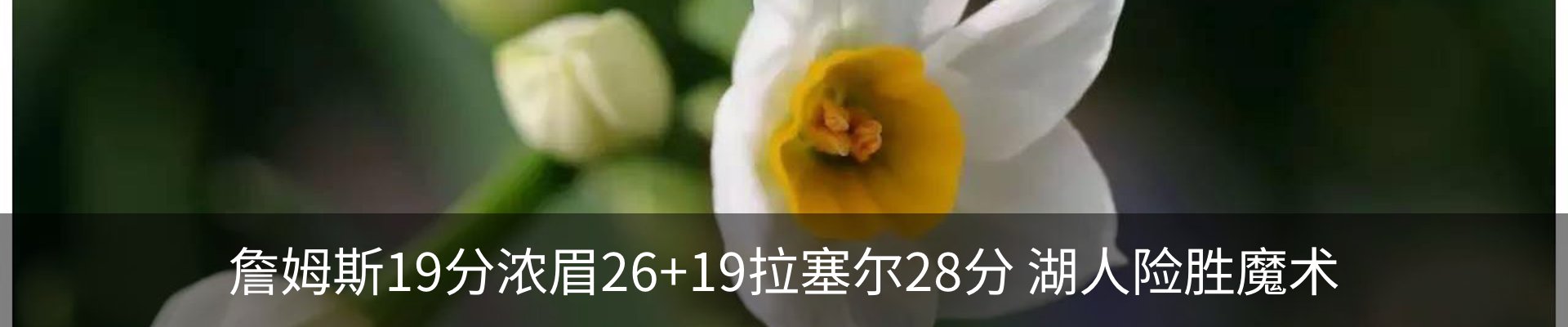 资讯动态
