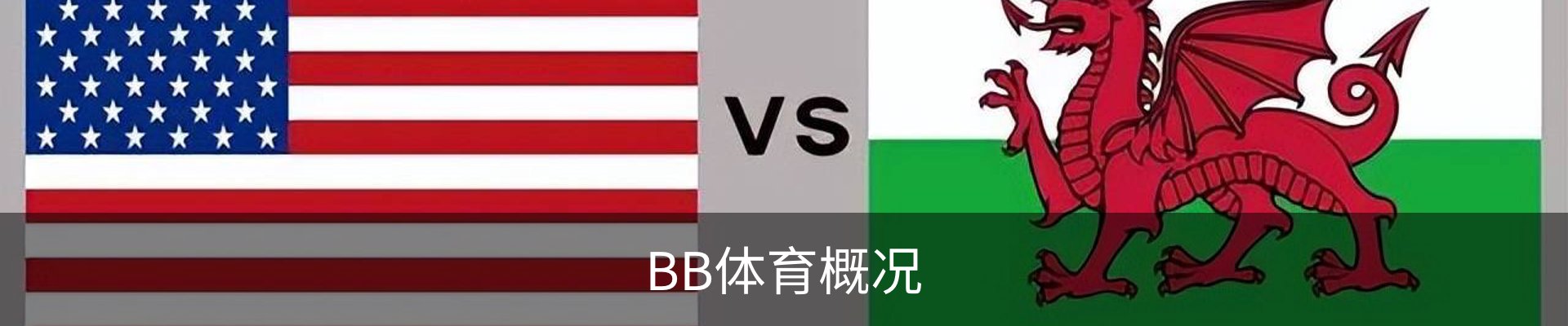 BB体育概况